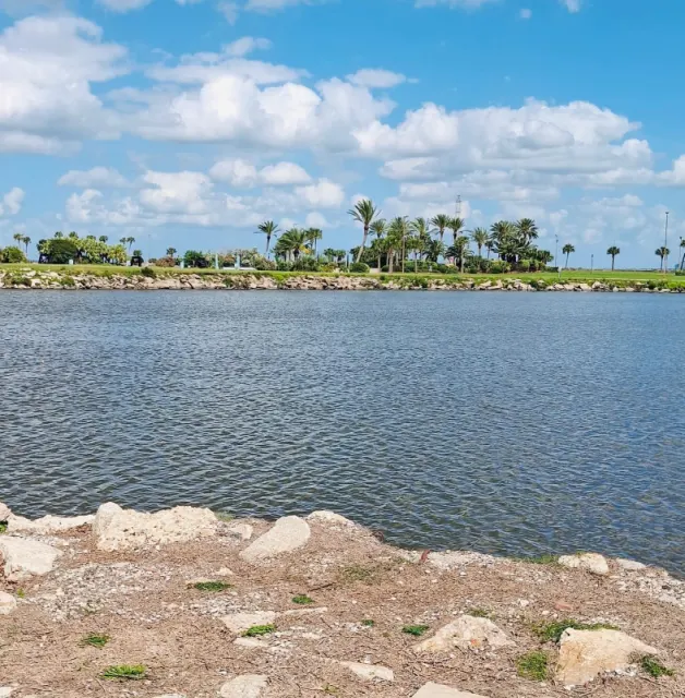 Orillas del Lago Pontchartrain: Donde el horizonte se encuentra con la historia